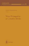 Wave Propagation in Complex Media cover