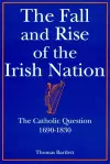 The Fall and Rise of the Irish Nation cover