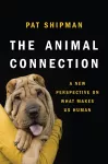 The Animal Connection cover