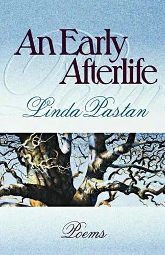 An Early Afterlife cover