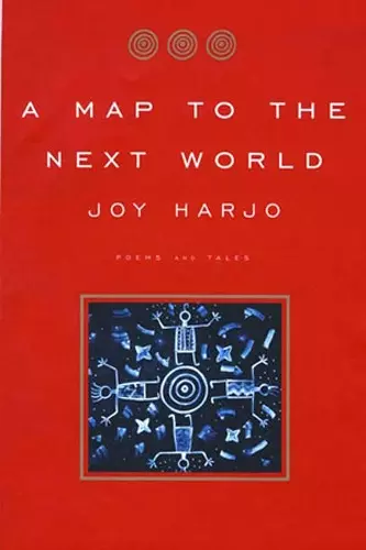 A Map to the Next World cover