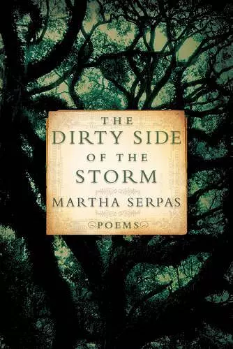 The Dirty Side of the Storm cover