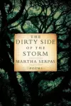 The Dirty Side of the Storm cover