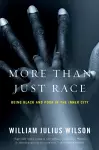 More than Just Race cover