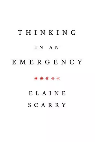 Thinking in an Emergency cover