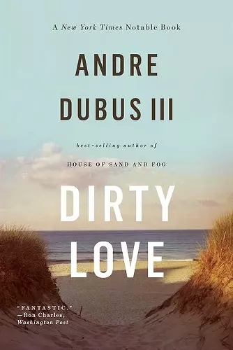 Dirty Love cover