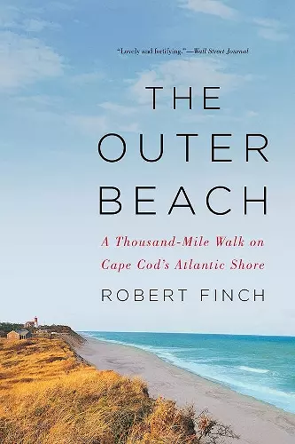 The Outer Beach cover