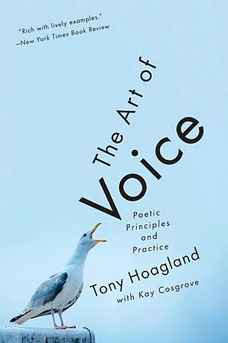 The Art of Voice cover
