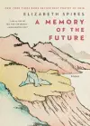 A Memory of the Future cover