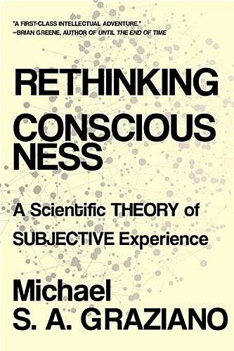Rethinking Consciousness cover