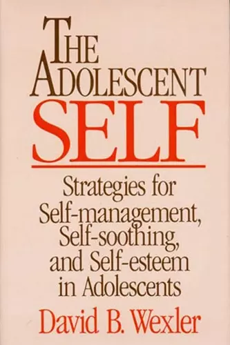 The Adolescent Self cover