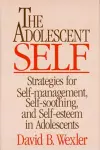 The Adolescent Self cover