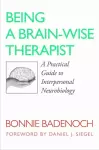 Being a Brain-Wise Therapist cover