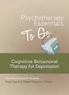 Psychotherapy Essentials to Go cover