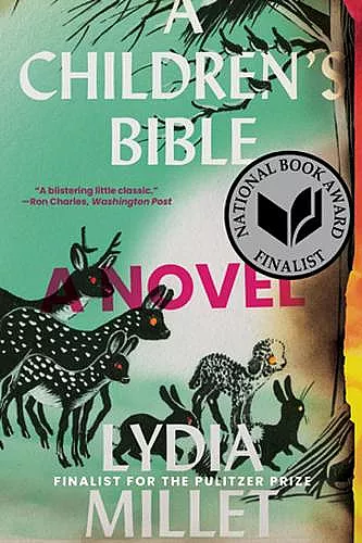 A Children's Bible cover