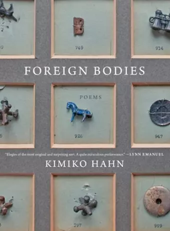 Foreign Bodies cover