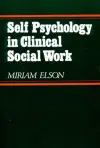 Self Psychology in Clinical Social Work cover