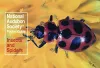 National Audubon Society Pocket Guide: Insects and Spiders cover