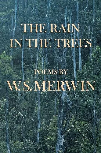 The Rain in the Trees cover