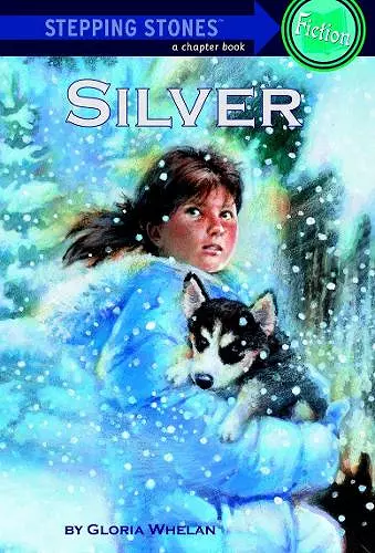 Silver cover