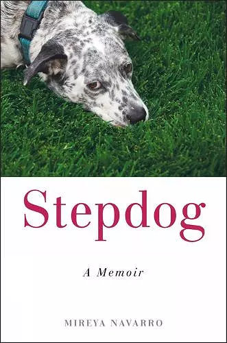 Stepdog cover