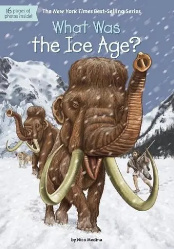 What Was the Ice Age? cover