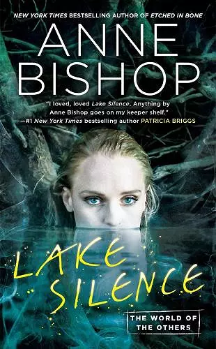 Lake Silence cover