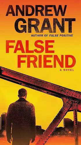 False Friend cover