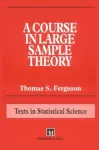 A Course in Large Sample Theory cover