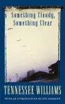 Something Cloudy, Something Clear cover