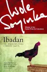 Ibadan cover