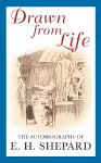 Drawn from Life cover