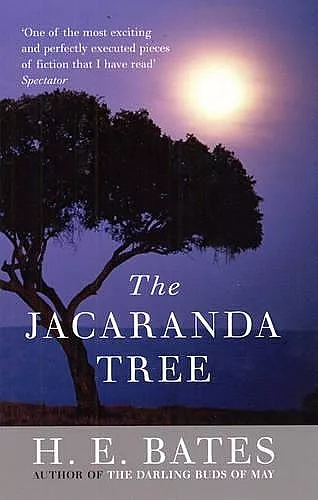 Jacaranda Tree, The cover