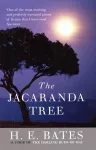 Jacaranda Tree, The cover