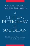 A Critical Dictionary of Sociology cover