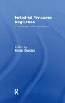 Industrial Economic Regulation cover