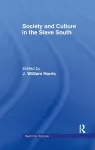 Society and Culture in the Slave South cover