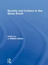 Society and Culture in the Slave South cover