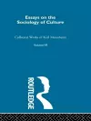 Essays on the Sociology of Culture cover