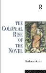 The Colonial Rise of the Novel cover