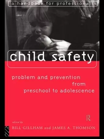 Child Safety: Problem and Prevention from Pre-School to Adolescence cover