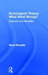 Sociological Theory: What went Wrong? cover