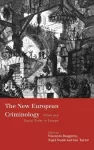 The New European Criminology cover