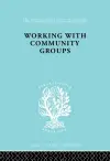 Working Comm Groups Ils 198 cover