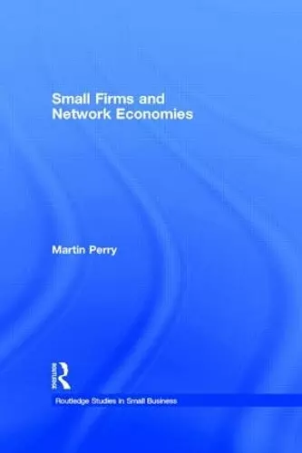 Small Firms and Network Economies cover