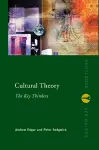 Cultural Theory: The Key Thinkers cover