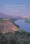 Mesopotamia Before History cover