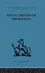 Social Origins of Depression cover