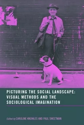 Picturing the Social Landscape cover