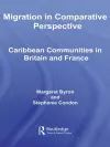 Migration in Comparative Perspective cover